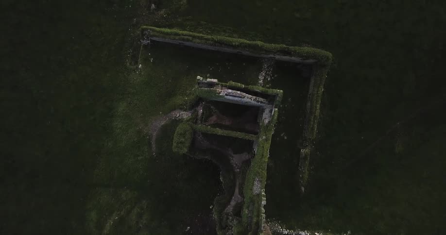 Overgrown castle ruins