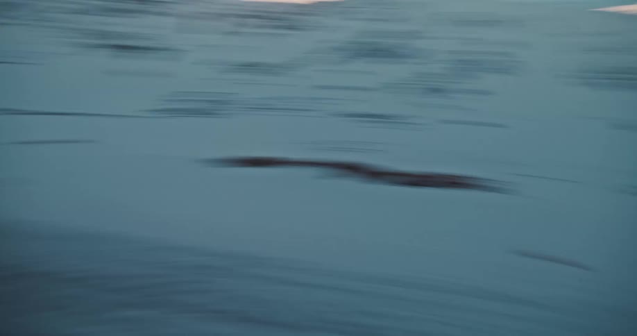 A convoy of rugged search and rescue trucks with oversized tires powers through a snowy mountain pass during a winter expedition
