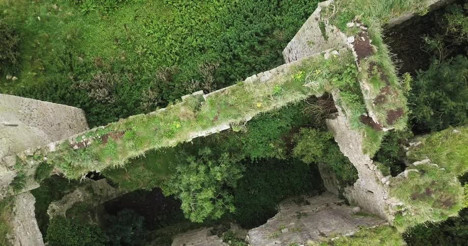 The stolen wall is broken and covered with green