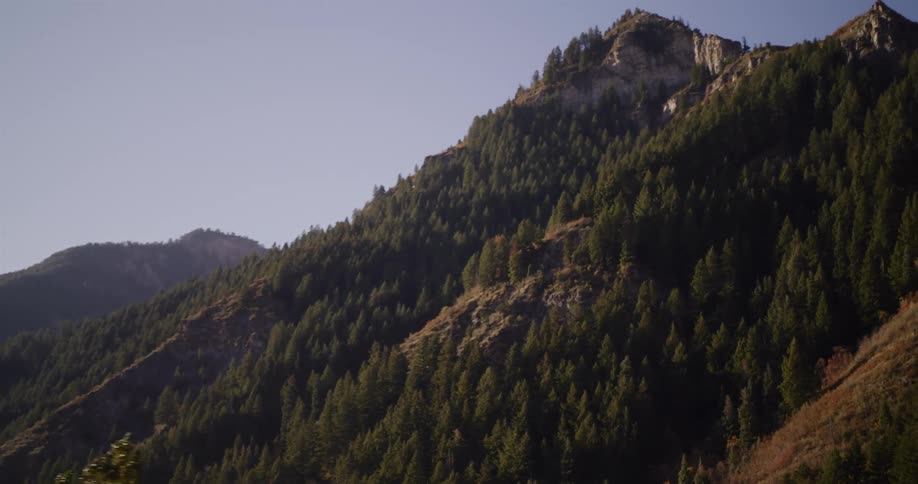 Driving past a beautiful sunlit mountain range covered in evergreen trees