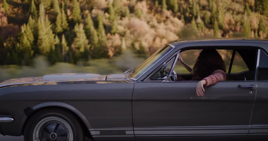 A carefree young woman drives her classic grey muscle car down a scenic road with her happy dog in the passenger seat