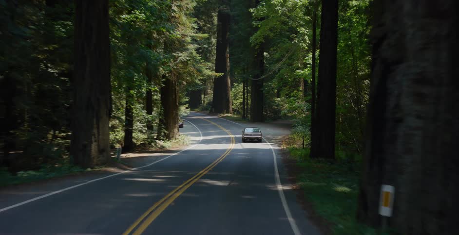 Driving down a scenic two-lane highway following a vintage car through a dense, sunlit redwood forest