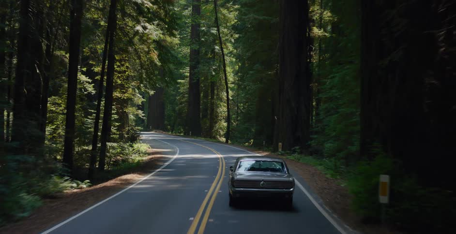 A vintage muscle car cruises down a scenic, winding road through a lush, sun-dappled redwood forest