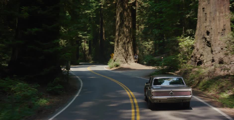 A vintage Ford Mustang drives along a scenic, winding road through a lush redwood forest
