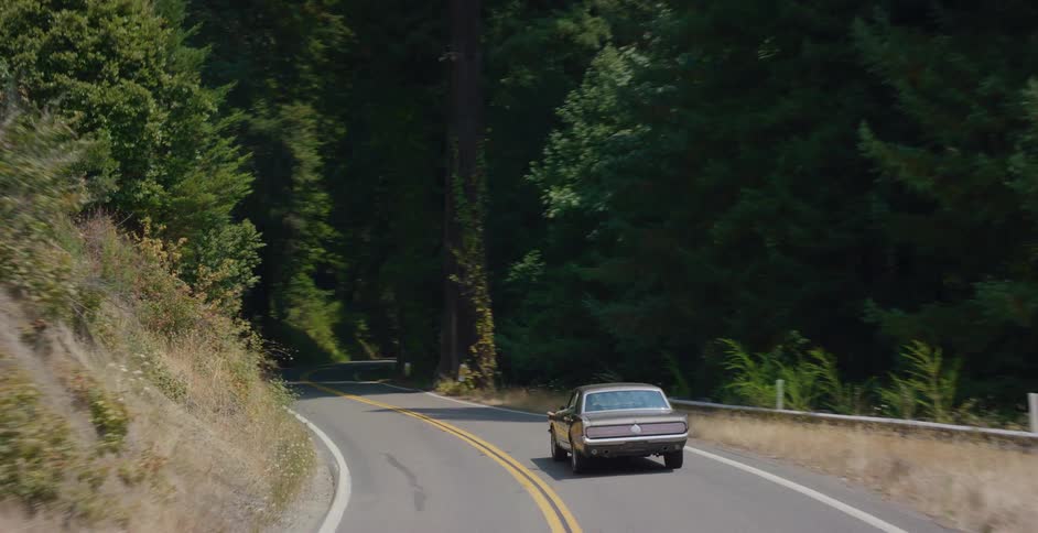 Rear view of a classic car cruising on a scenic, tree-lined highway in the countryside