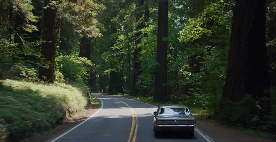 A classic car drives along a winding road through a sun-dappled redwood forest on a scenic road trip