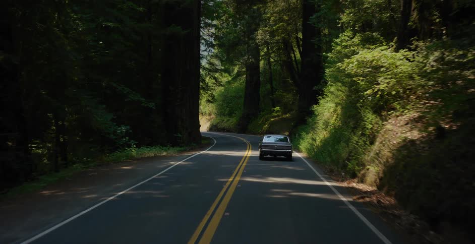 POV tracking a classic silver muscle car as it drives down a sun-dappled, winding road through a majestic redwood forest