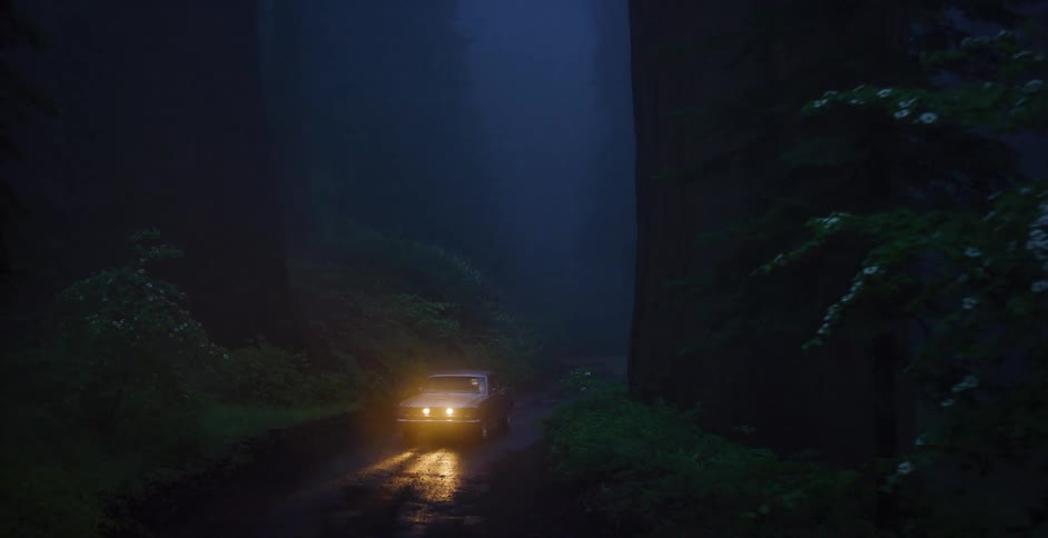 Panning down from a giant sequoia tree trunk to reveal a lone car with its headlights on, parked in a dark and foggy forest
