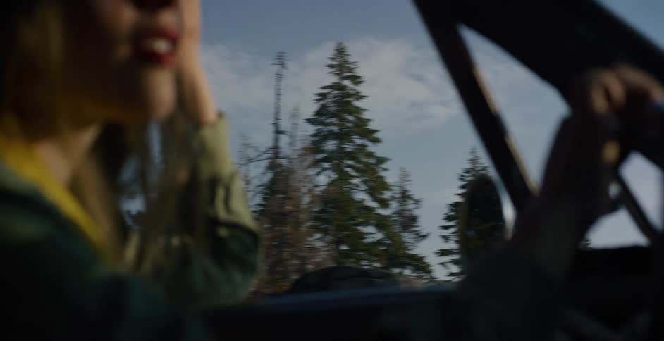 Cinematic shot from a moving car captures the blur of a pine tree forest passing by on a sunny day