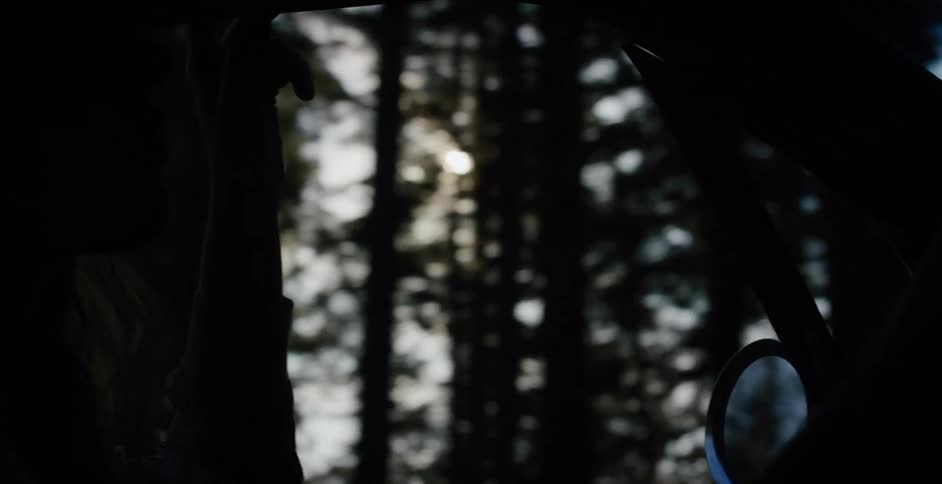 A silhouetted woman drives her car down a scenic road, with the sunlight flaring through the dense forest trees outside her window