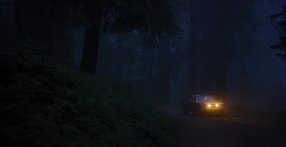 Tilting down a giant sequoia tree to reveal a classic car parked with its headlights on in a dark, foggy forest