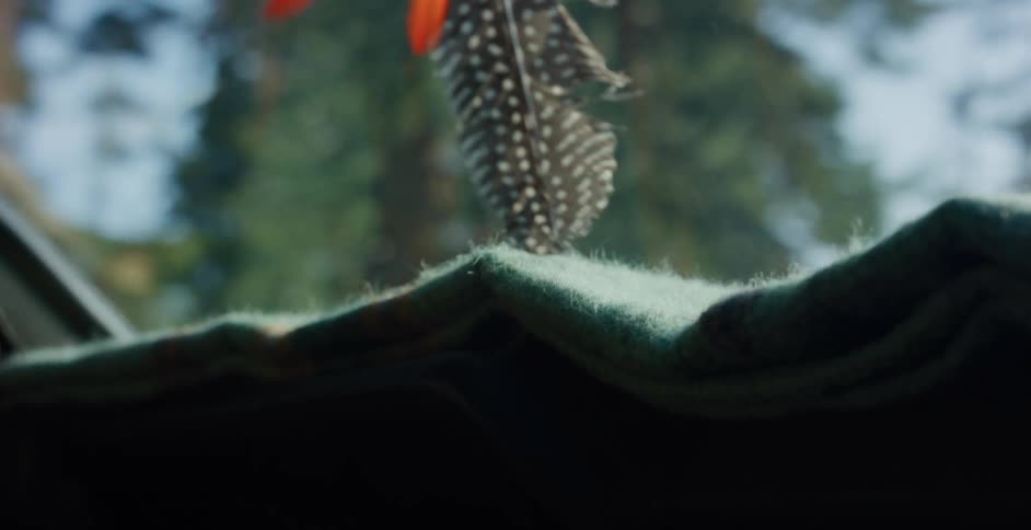 A close-up of a decorative feather sways on a car dashboard while driving through a sunny forest