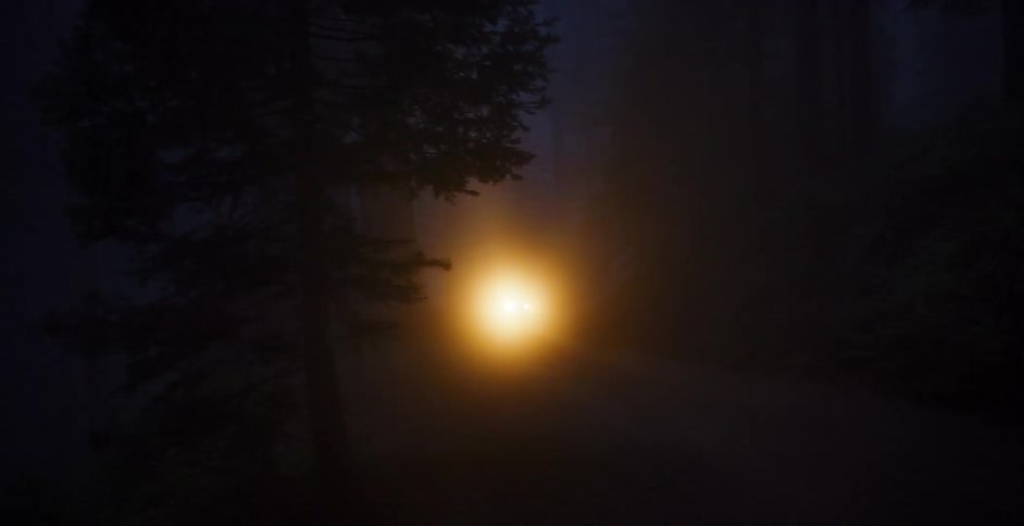 A car with bright headlights drives slowly down a winding road through a dark, foggy forest at night, creating a mysterious and eerie atmosphere