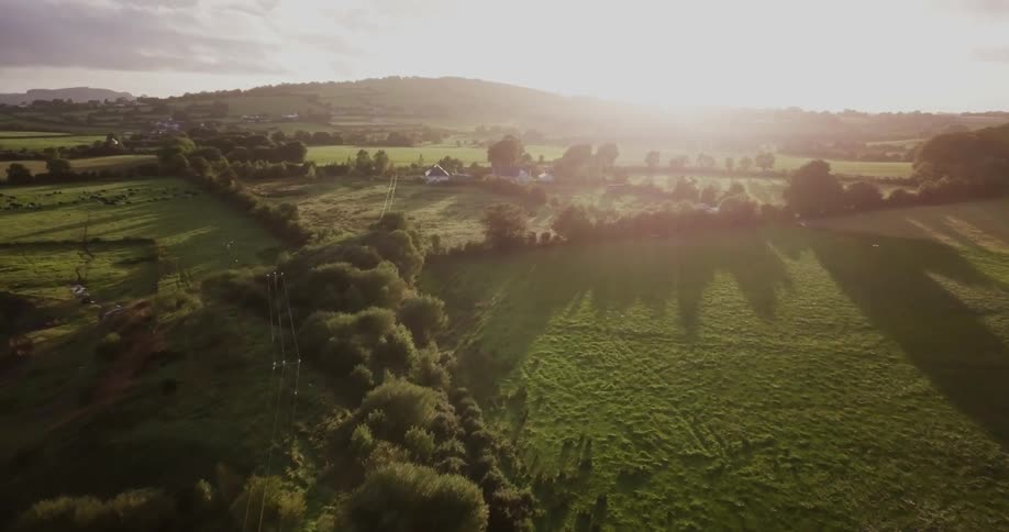 A green stretch of land at sunset