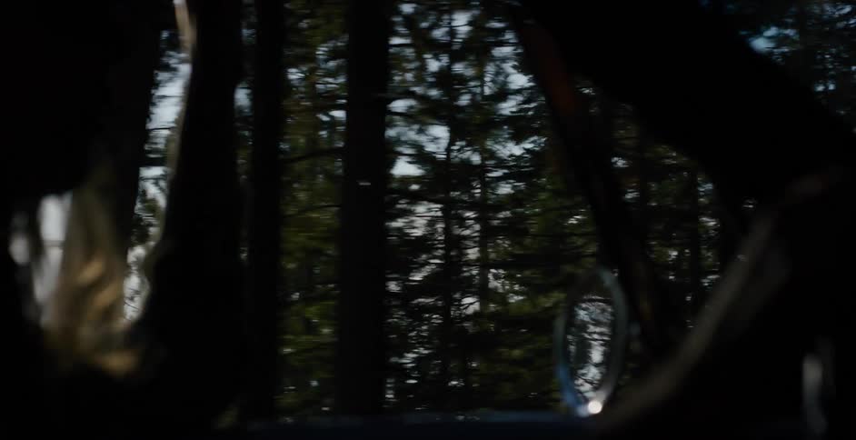 A slow-motion, silhouetted view of passing pine trees from the window of a car on a scenic forest drive