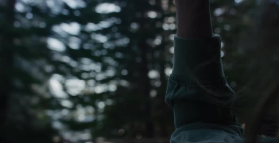 A person's arm hangs out of a car window, feeling the breeze while driving through a sun-dappled forest