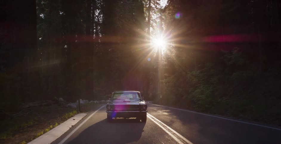 A vintage black car cruises down a winding forest road as the setting sun creates a beautiful lens flare through the tall trees