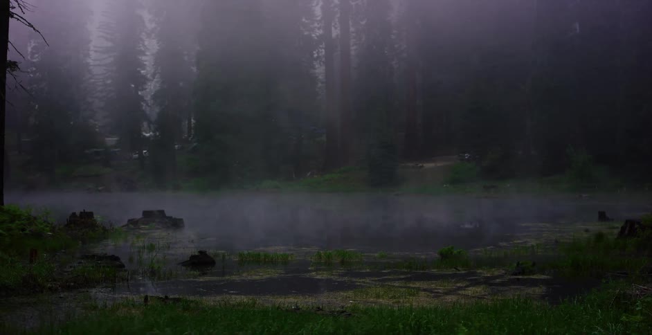 Mysterious fog drifts over a still pond surrounded by tall trees in a dark, atmospheric forest