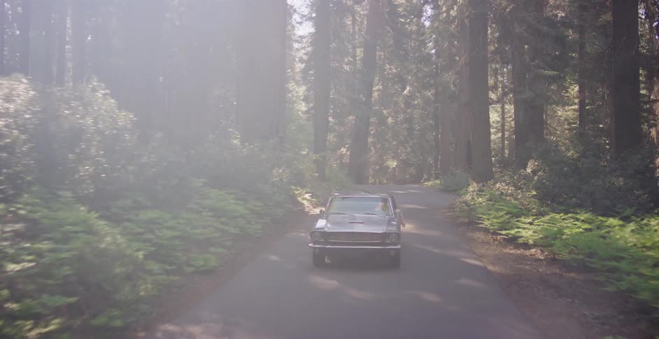 A classic silver sports car drives along a winding scenic road through a sun-dappled forest of giant trees