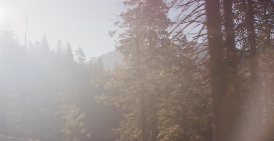 A slow pan through a sun-drenched mountain forest reveals a vintage car driving down a tree-lined road