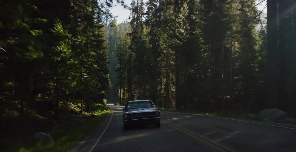 A classic black muscle car drives along a winding scenic road through a sun-drenched forest of tall evergreen trees