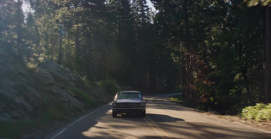 A classic black Ford Mustang drives along a scenic, sun-drenched mountain road through a dense pine forest