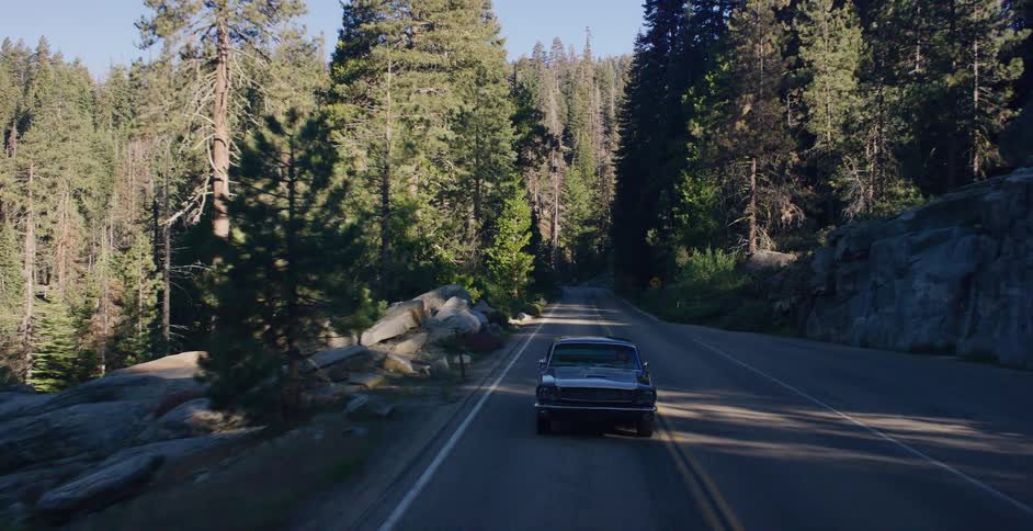 Aerial view following a classic muscle car down a winding road through a dense, sunlit forest