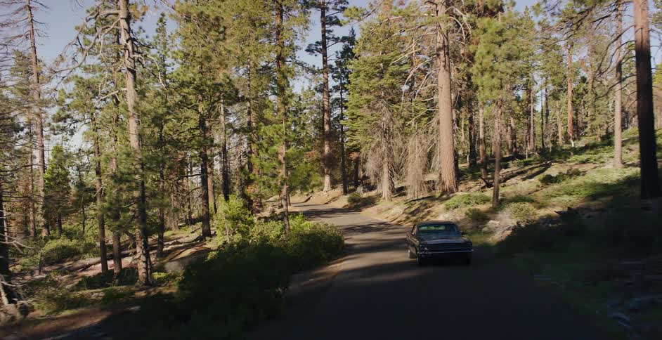 Slowly pulling back from a vintage black car parked on a shady, winding road through a dense forest of tall pine trees