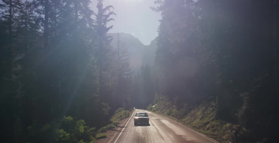 A vintage car drives away down a sun-flared mountain road through a dense evergreen forest