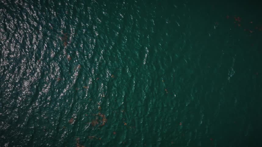 An abstract top-down view of dark green ocean water with gentle, mesmerizing ripples