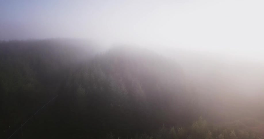 A tree-covered mountain is shown on a foggy day