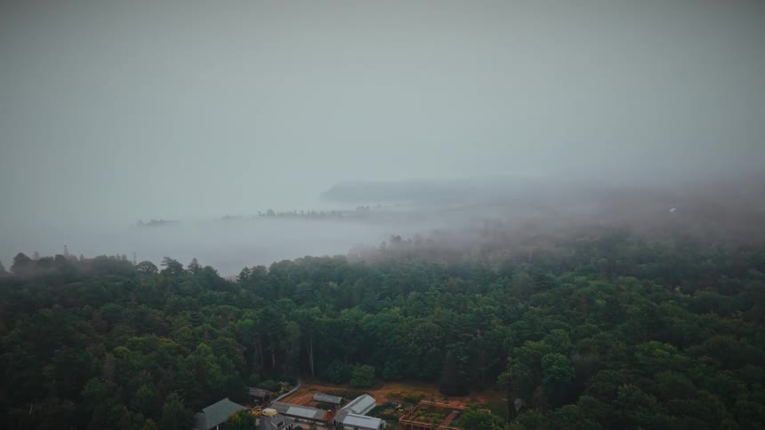 An aerial drone shot pushes forward over a small town and a dense forest into the thick fog covering the coastline