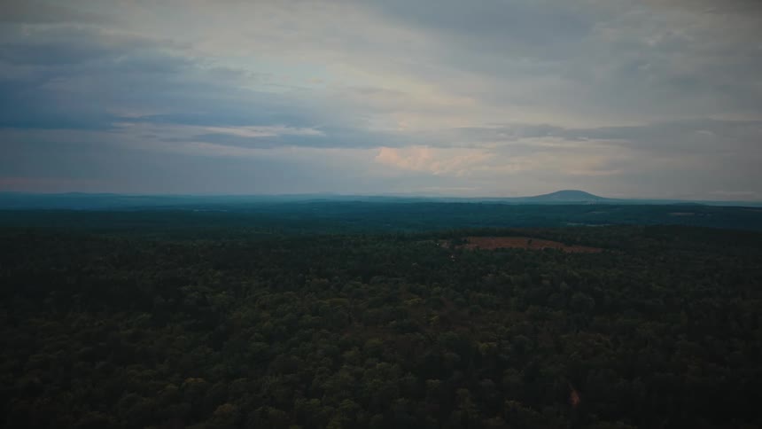 An expansive and moody aerial shot slowly pulls back over a vast forest under a cloudy sky with a mountain on the horizon