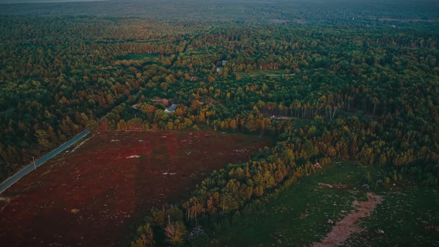 A high-angle aerial view slowly moves over a vast landscape of dense forests and colorful fields during a warm, golden sunset