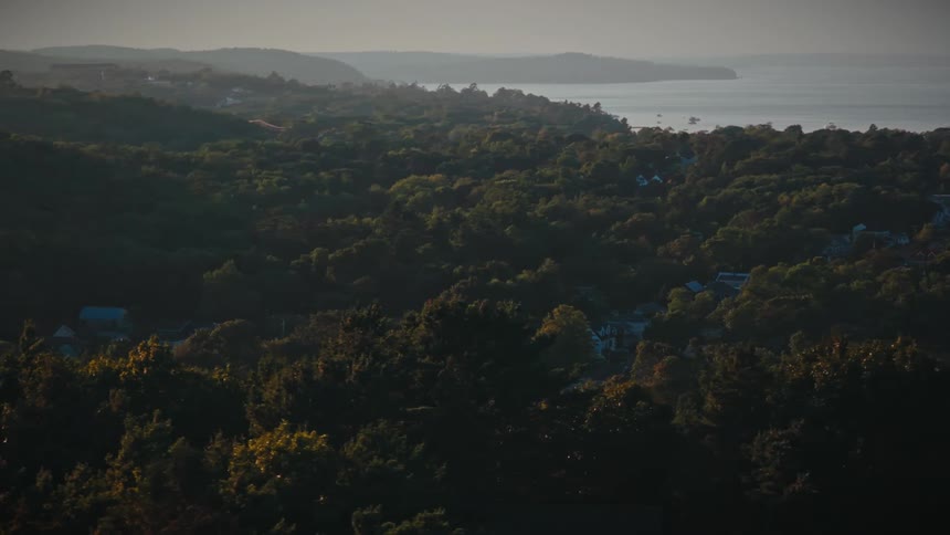 A serene aerial view slowly drifts over a vast, tree-covered landscape with a tranquil body of water in the background at sunset