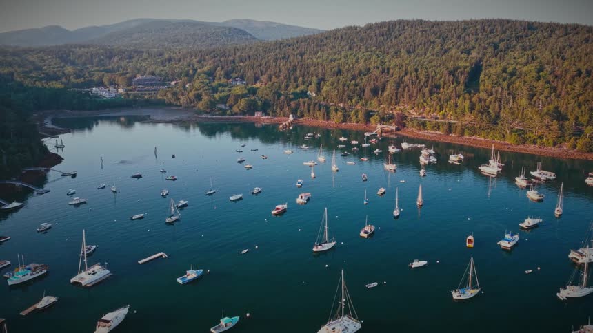 A stunning aerial flyover of a tranquil harbor filled with sailboats and yachts, nestled in a bay surrounded by lush green forests and rolling hills