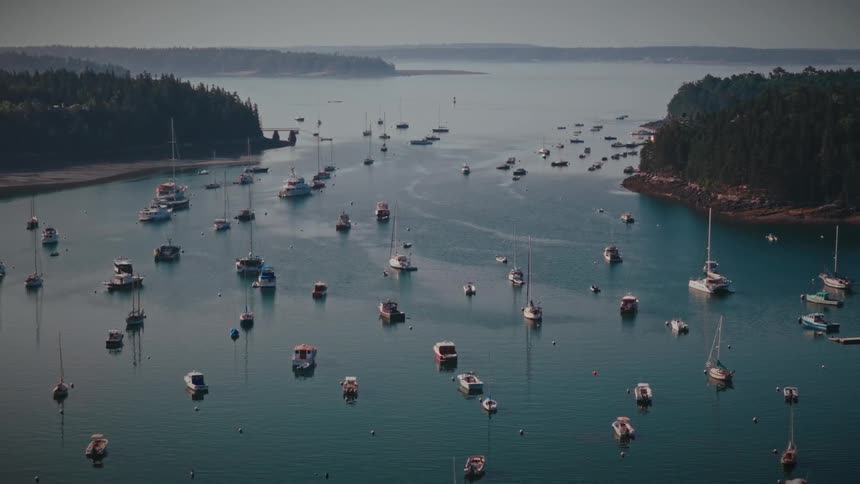 Slow aerial pullback over a calm bay, revealing a harbor filled with numerous sailboats and yachts docked near a forested coastline