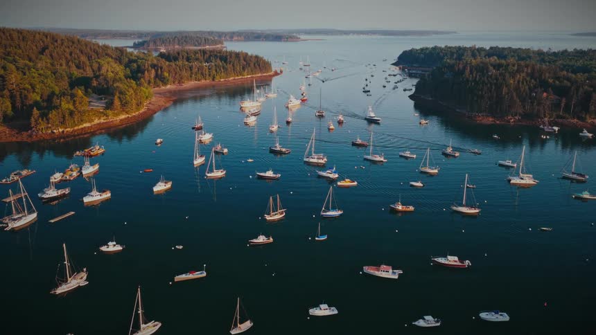A majestic aerial flight glides over a dense coastal forest to reveal a picturesque harbor filled with dozens of boats during a serene sunrise