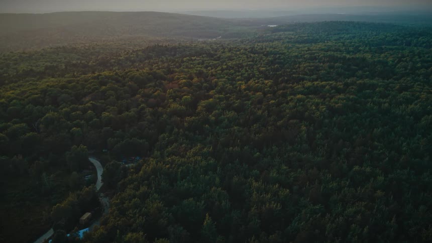 A serene aerial view of a sprawling green forest and winding country road during a hazy sunset