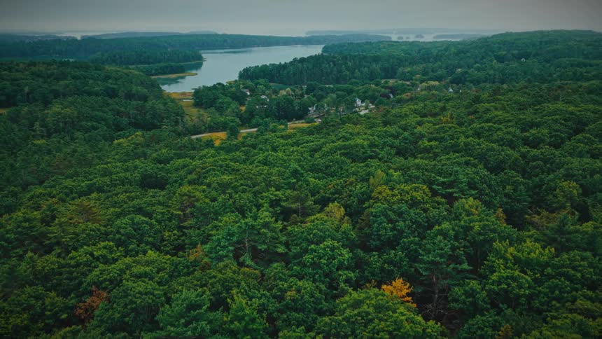 An expansive aerial shot slowly pulls back over a dense green forest, revealing a picturesque lakeside village under a calm, overcast sky