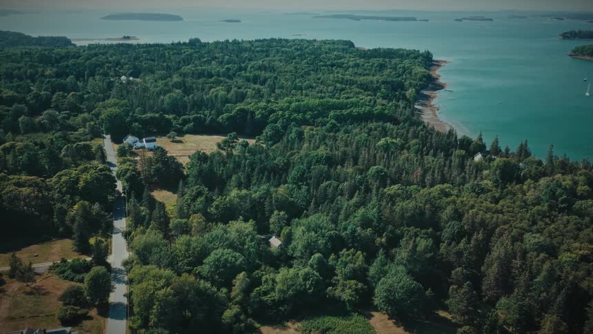 An expansive aerial view reveals a dense green forest meeting the tranquil ocean coastline on a sunny day