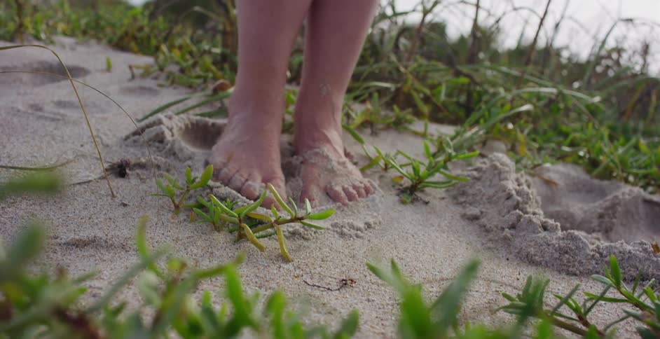 A close up shot of a person's bare feet digging and wiggling in the soft sand of a beach dune