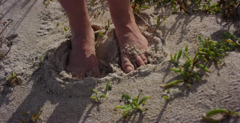 Close up of a person's bare feet wiggling and digging into the soft sand on a sunny beach