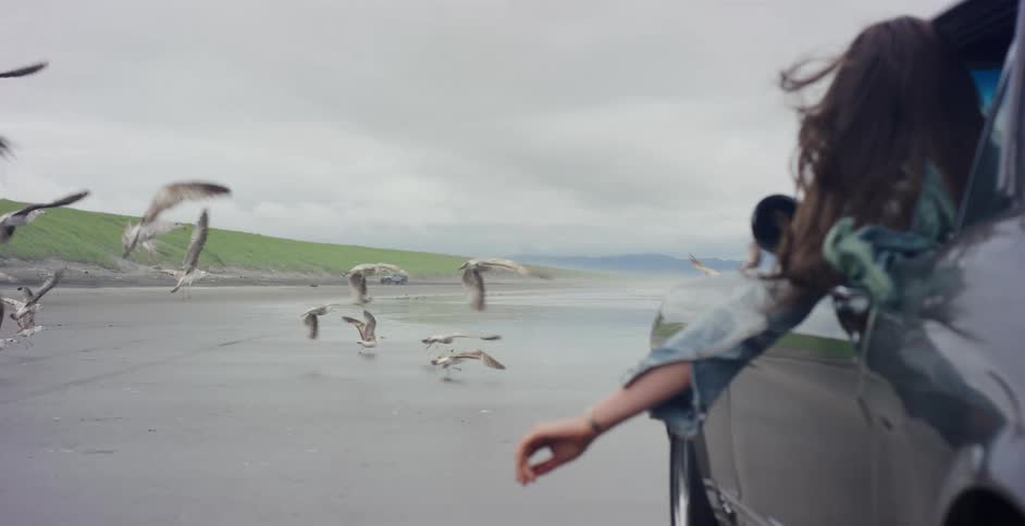 In slow motion, a woman in a classic car drives along a beach, her arm out the window as a flock of seagulls takes flight beside her