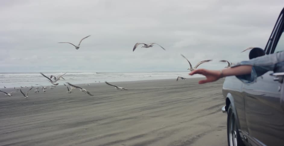 A person in a classic car drives along the beach as a flock of seagulls gracefully takes flight in slow motion