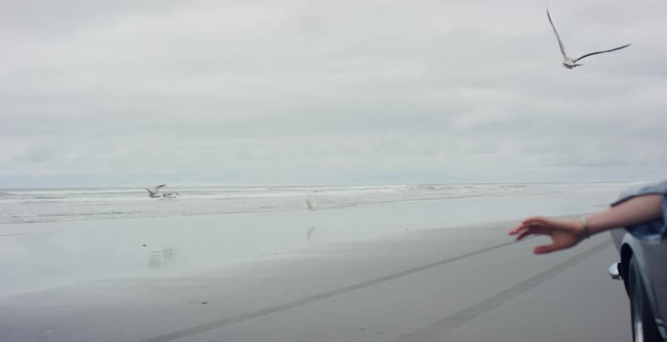 A carefree woman sticks her hand out the window of a classic car as it drives along the beach, with seagulls flying by in slow motion
