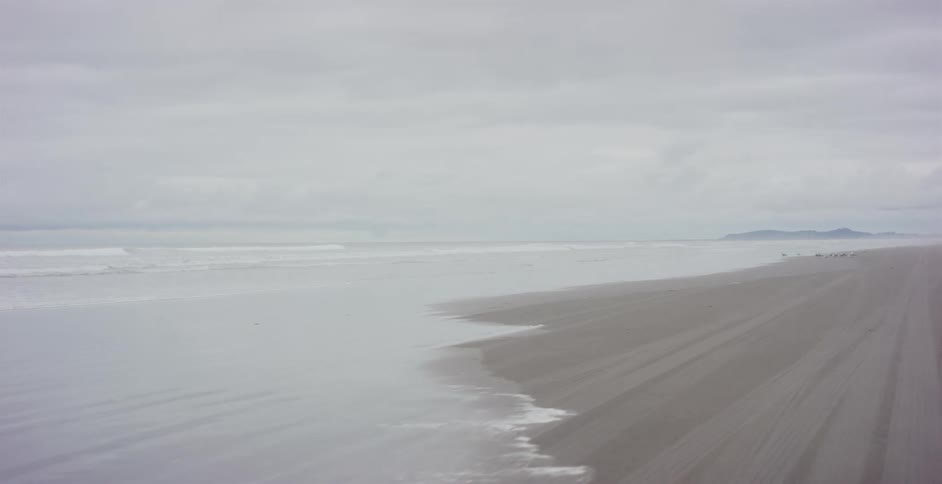 In a vintage car, seagulls take flight as a woman drives along the ocean's edge with her hand out the window, all in slow motion