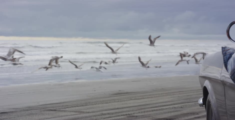 A flock of seagulls flies away in slow motion along a moody, dark sand beach with a classic convertible car in the foreground