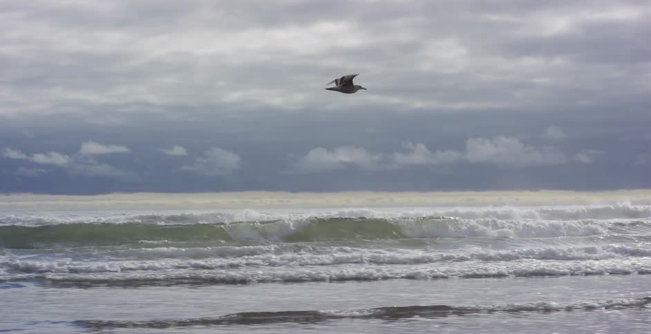 A lone seagull soars in slow motion over the ocean surf against a backdrop of a cloudy sky