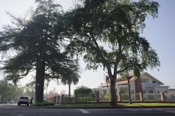 A sunny suburban street corner with a classic house, lush trees, and a mail truck driving by